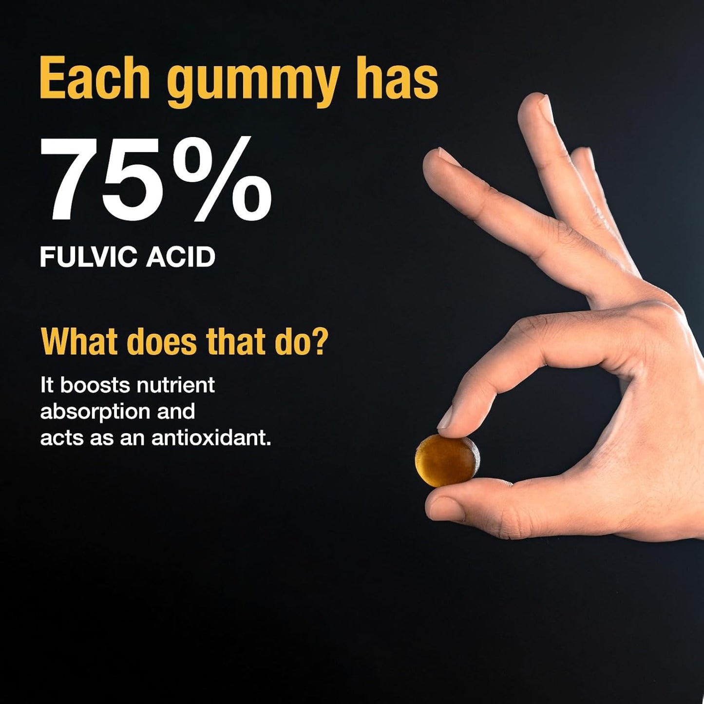 Body Wise | Gominolas de Shilajit Puro