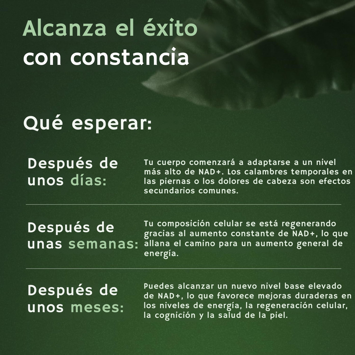 Reus NMN Research Suplemento Alternativo